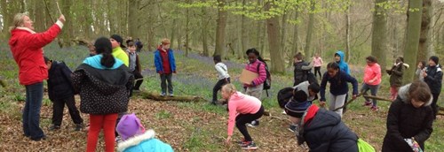 Teacher leading activity in the woods with a group of children.