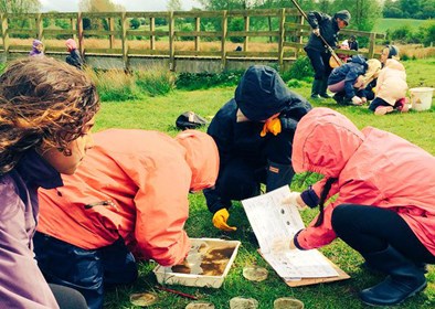 Children carrying out species identification/matching activity with river water.