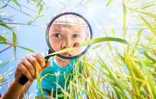  Child investigating nature,looking through a magnifying glass into long grass and a ladybird.