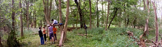 Den building at Hudnall Park