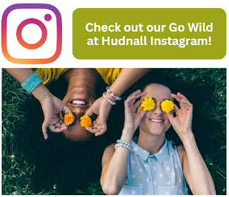 Go Wild at Hudnall Instagram Feature