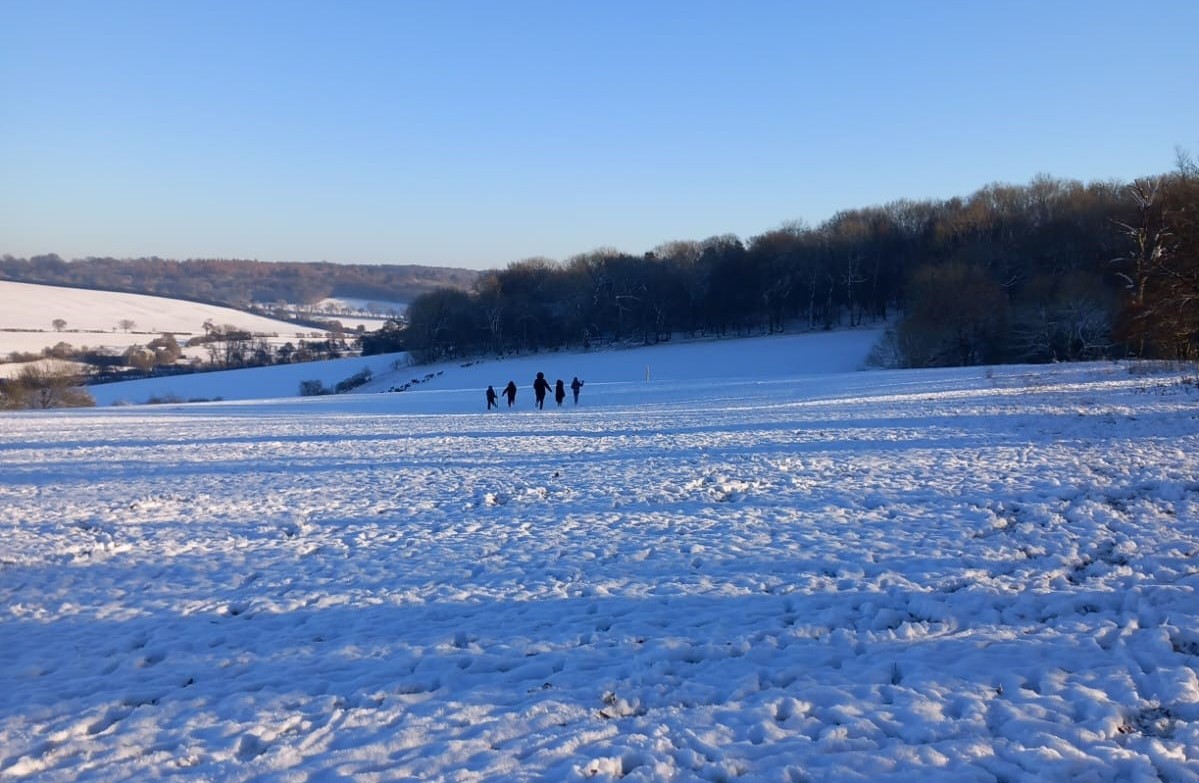 ‘Go Wild at Hudnall’ connects 247 young people with nature to improve their wellbeing