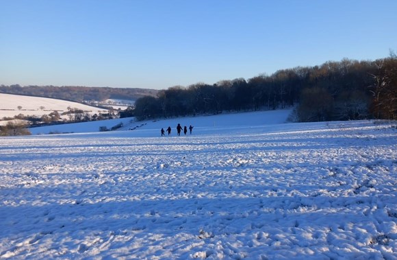 Snowy scene at Hudnall Park