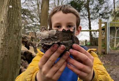 Boy in bright yellow jacket holding up a piece of tree bark