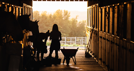 Silhouette of two females carrying out work at stables.