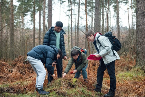 Young people looking at forest floor in woodland area.